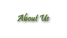 about us graphic