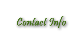 Contact information for Plant Plantation