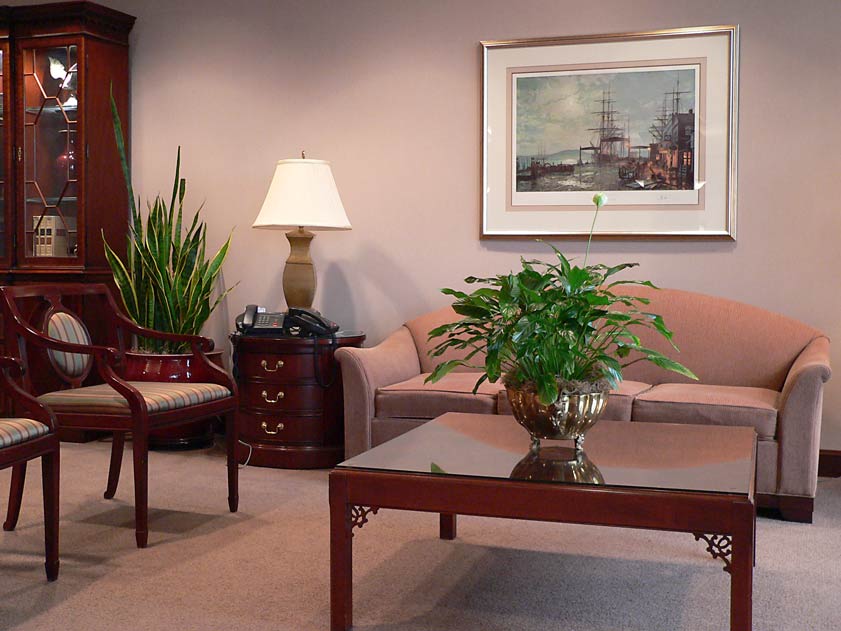 Interior decorating using our plant services means office plants and all indoor plants maintain beauty
